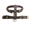 Dina Harness & Leash Backspin Set