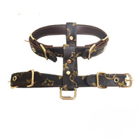 Dina Harness & Leash Backspin Set