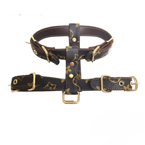 Dina Harness & Leash Backspin Set