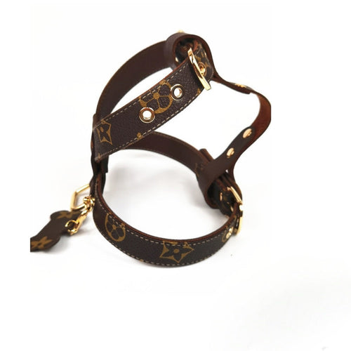 Dina Harness & Leash Backspin Set