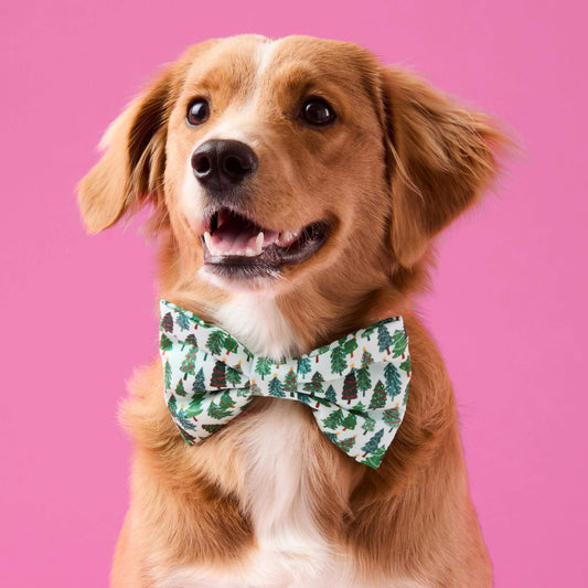 Festive Fir Dog Collar