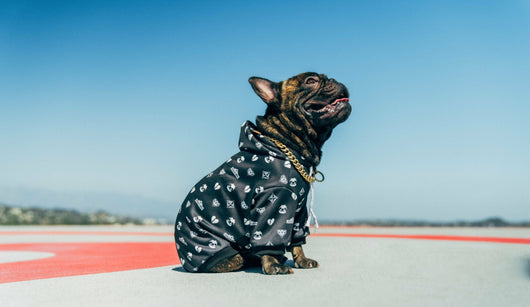 Premium Black Patterned Dog Hoodie for Pets
