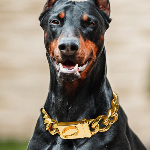 Pup Chains Abstract Life
