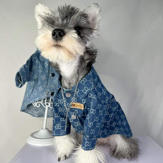 Designer Large and Small Dog Denim Jacket