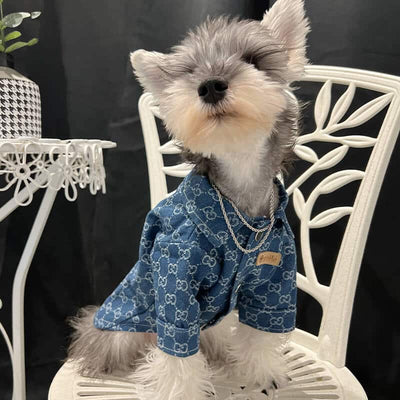 Designer Large and Small Dog Denim Jacket