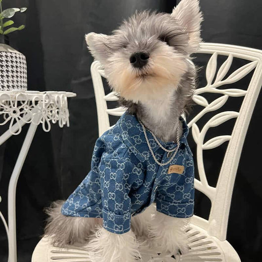 Designer Large and Small Dog Denim Jacket