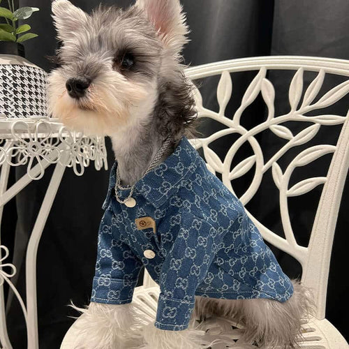 Designer Large and Small Dog Denim Jacket