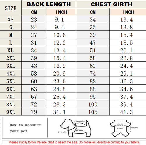 Big Dog Vibrant Shirts