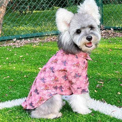 Big Dog Vibrant Shirts
