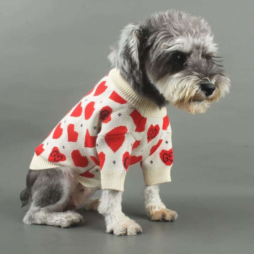 Bulldog Fly Clothes