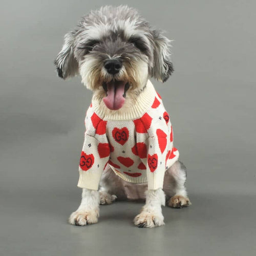 Bulldog Fly Clothes
