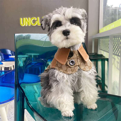Classic Dog Cfrench Prime Dress