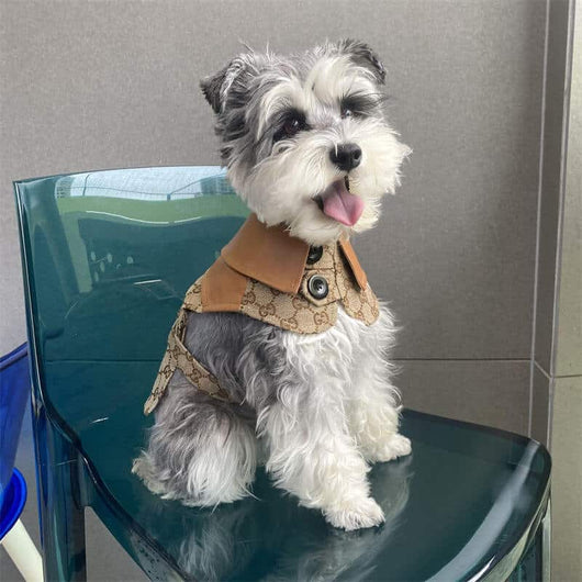 Classic Dog Cfrench Prime Dress