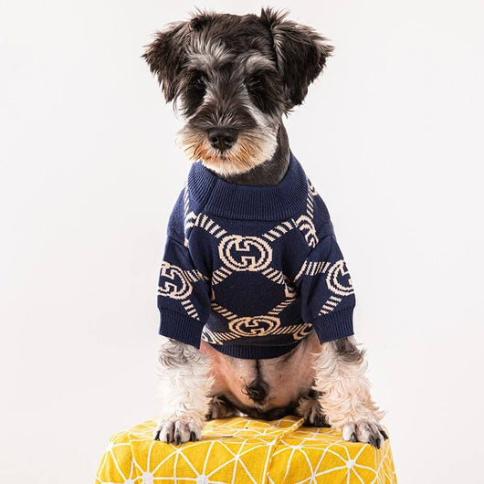 Clothes For Offbeat Dogs