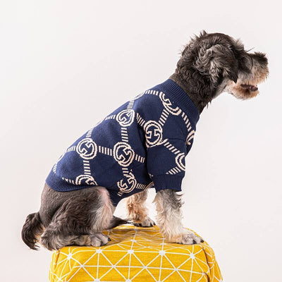Clothes For Offbeat Dogs