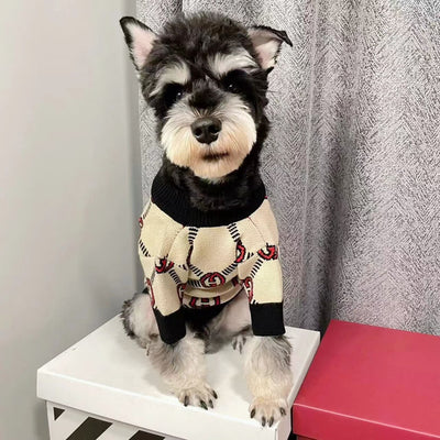 Fashion Dog Abstract Sweater