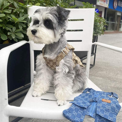 Dog Vibrant Suspenders