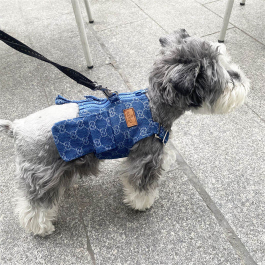 Dog Vibrant Suspenders