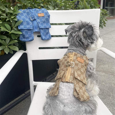 Dog Vibrant Suspenders