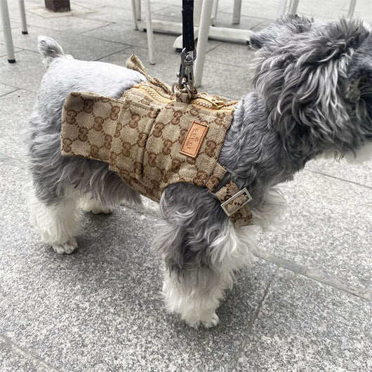 Dog Vibrant Suspenders