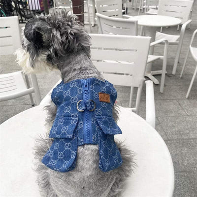 Dog Vibrant Suspenders