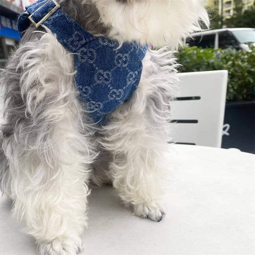 Dog Vibrant Suspenders