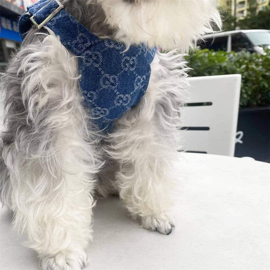 Dog Vibrant Suspenders