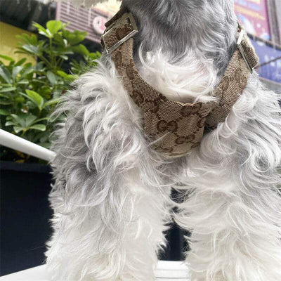 Dog Vibrant Suspenders
