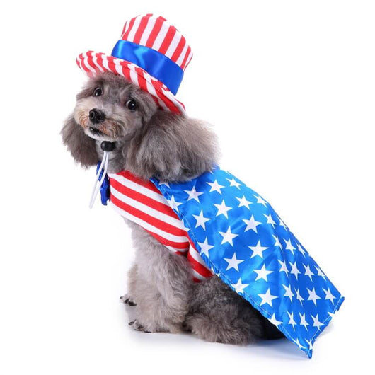 Halloween Pet Flash Clothes