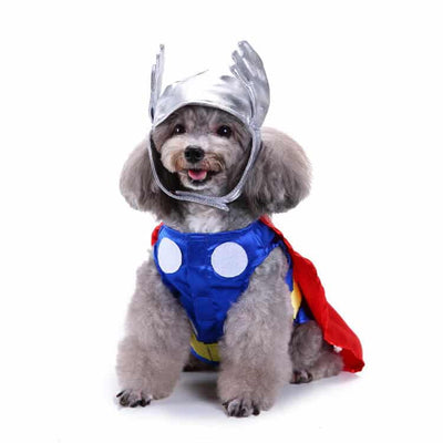 Halloween Pet Flash Clothes