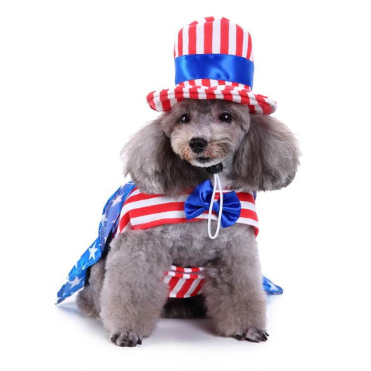 Halloween Pet Flash Clothes