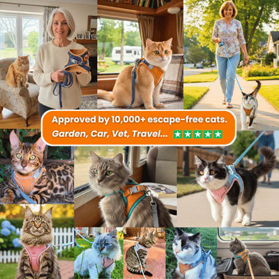 CozyDogo™ Cat Harness + Leash