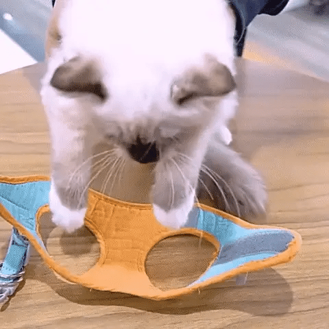 CozyDogo™ Cat Harness + Leash
