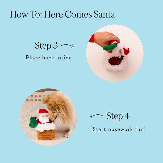 Santa Snuffle Dog Toy