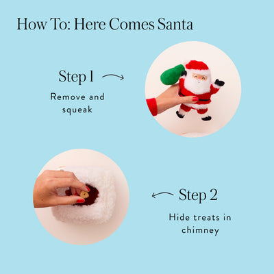Santa Snuffle Dog Toy