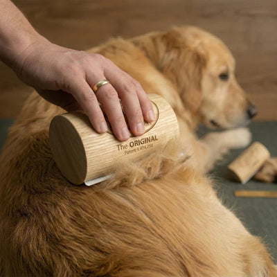 CozyDogo™ Shed Stopper
