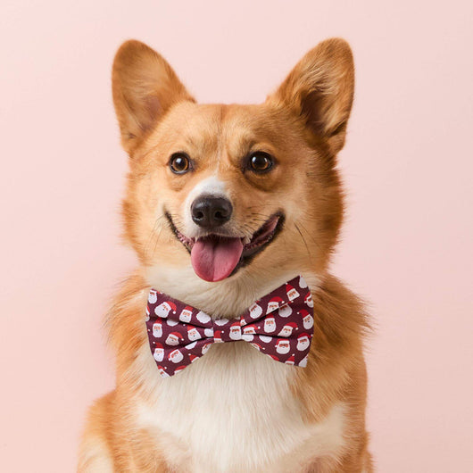 Ho Ho Ho Dog Bow Tie