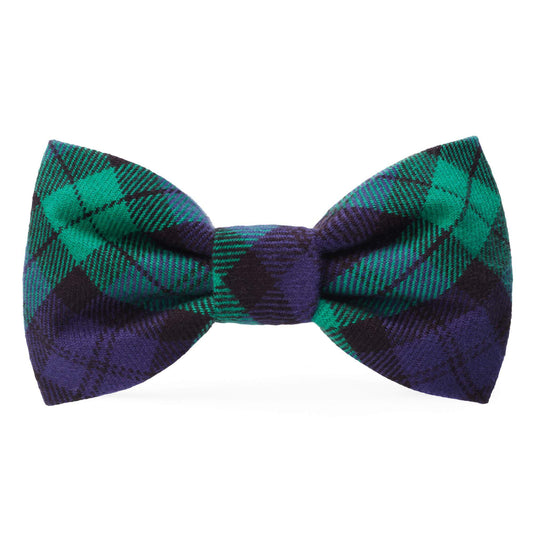 Black watch plaid flannel dog bow tie for stylish fashionable pets