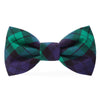 Black Watch Plaid Dog Bow