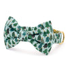 Festive Fir Dog Collar