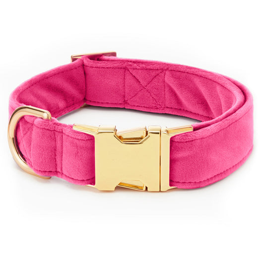 Hot pink velvet dog collar with gold hardware for stylish and comfortable pet walks