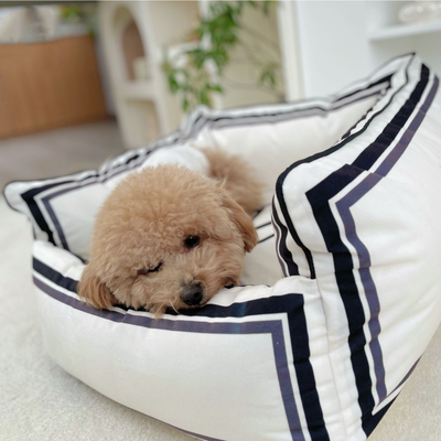 Unique CC Vibrant Bed