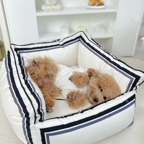 Unique CC Rare Bed
