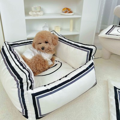 Unique CC Vibrant Bed