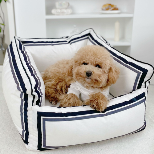 Unique CC Rare Bed