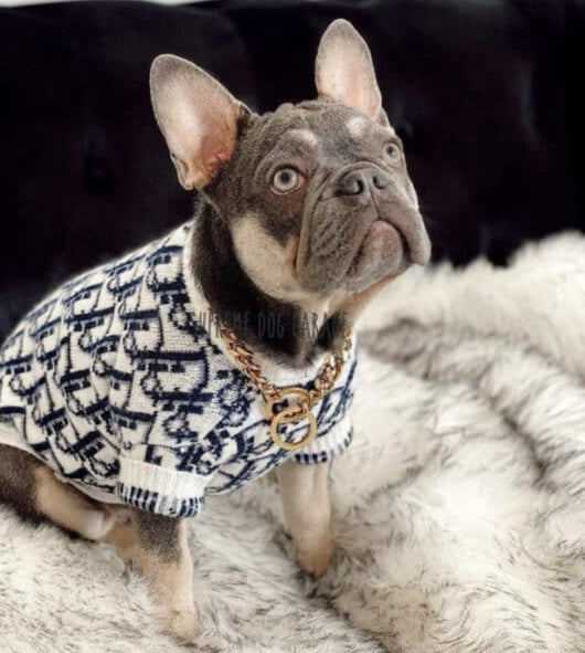 DD  Monogram Dog Lit Sweater