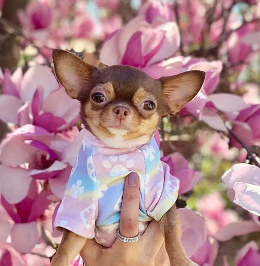 Pany Paws Posh Tshirt