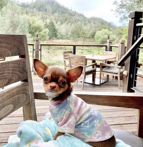 Pany Paws Posh Tshirt