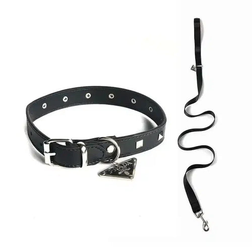 Paula Dog Collar Sleek Harness
