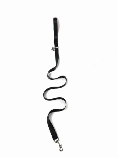 Paula Dog Collar Sleek Harness